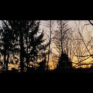 Meet your Posher, Jocelyn